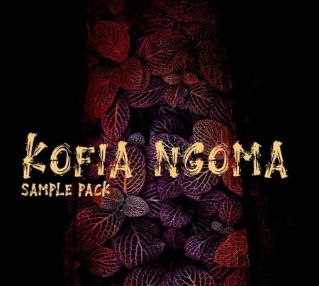 T-kid The Producer Kofia Ngoma Sample Pack WAV MiDi